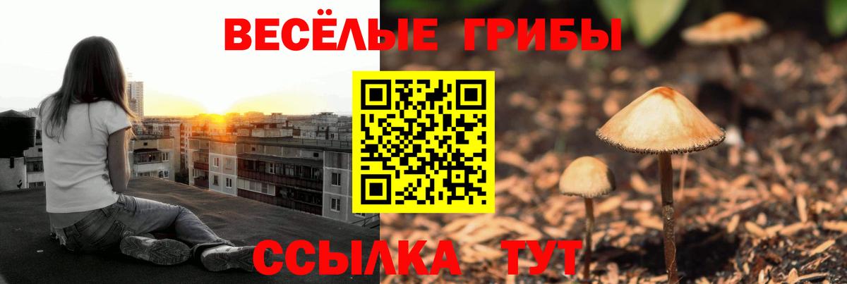 купить закладку  Вход с VPN  Псилоцибиновые грибы ЛСД  Фурманов  Галлюциногенные грибы Psilocybine cubensis 